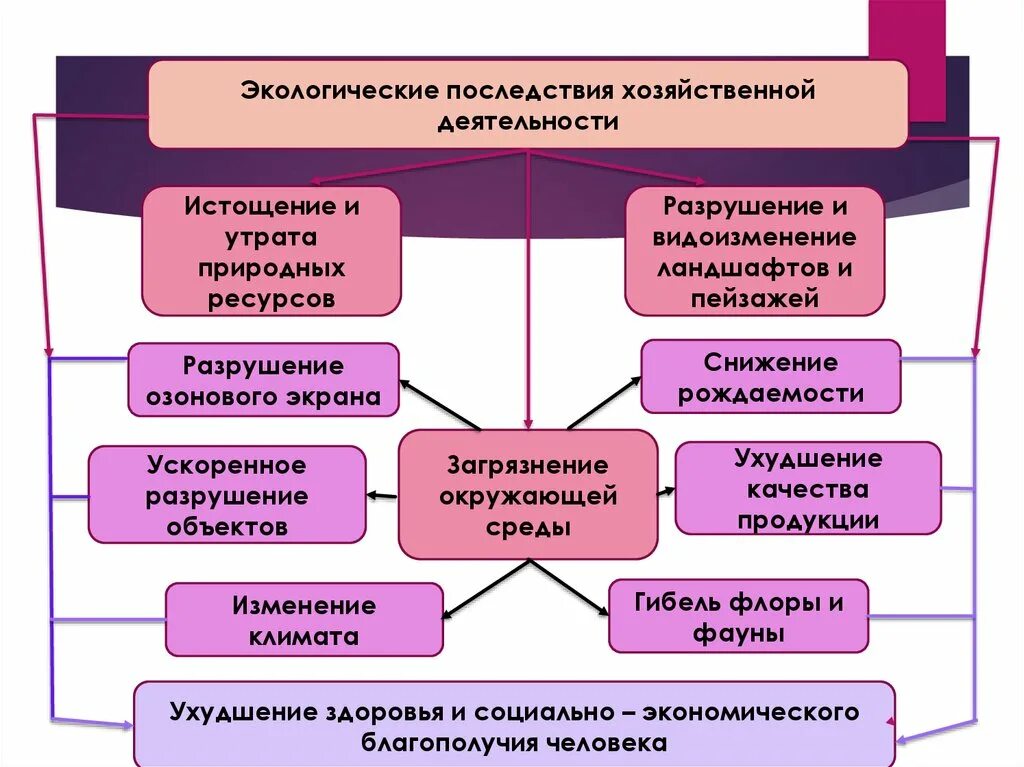 Последствия хозяйственной деятельности человека для окружающей среды