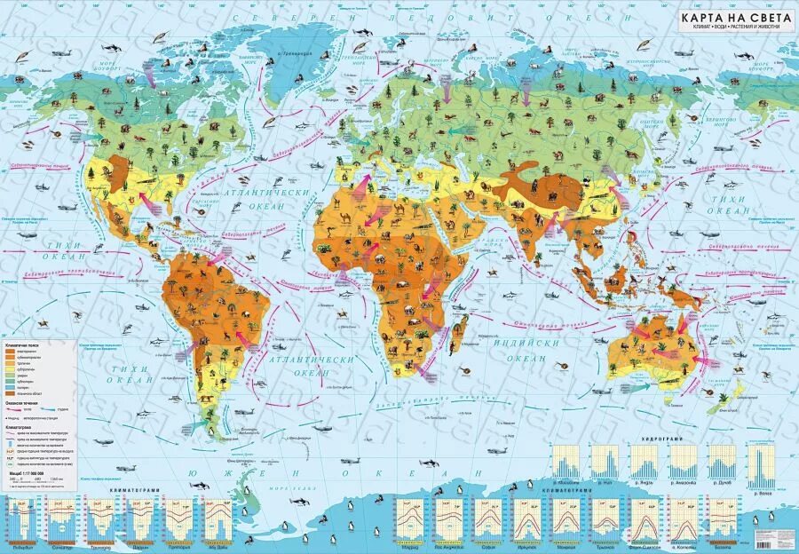 Города света карта. Карта свету. Палітычная карта свету. Карта освещения. Карта света в мире.