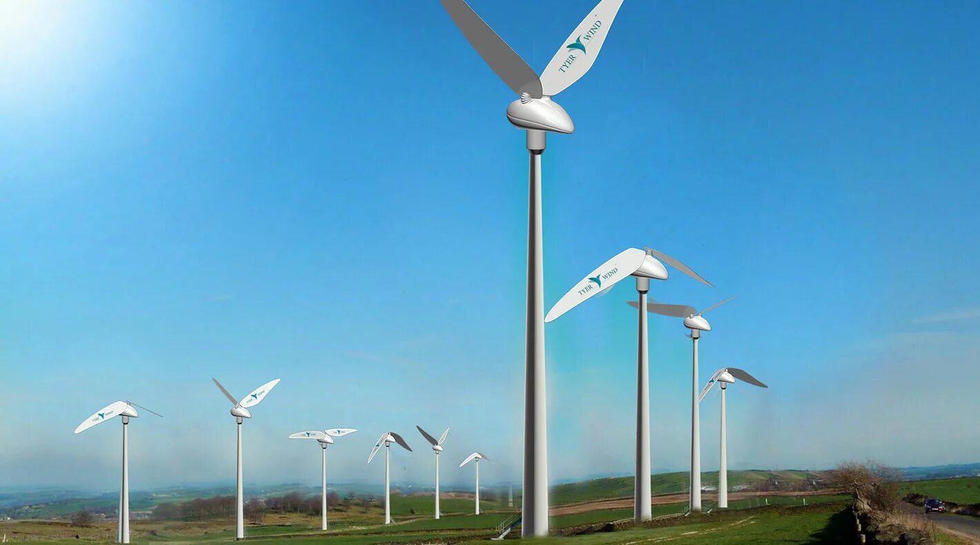 Wind формы