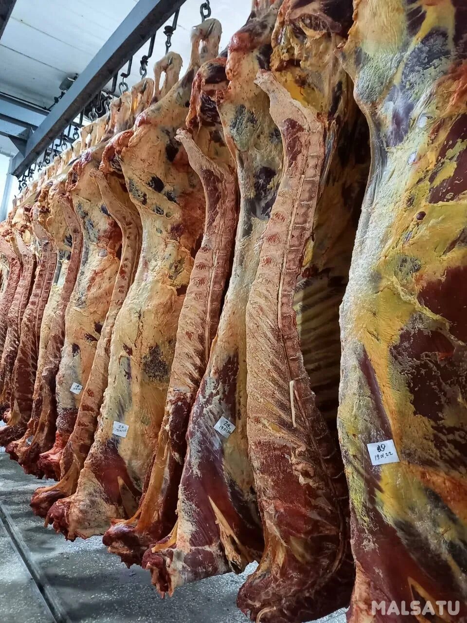 казахстанское мясо