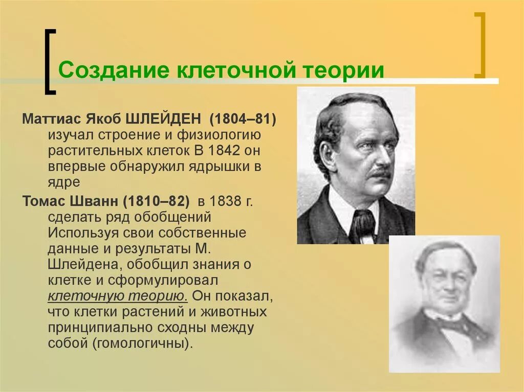 Кто из ученых разработал теорию. 1838 Шлейден Матиас Якоб клеточная. Маттиас Якоб Шлейден (1804-1881). Маттиас Шлейден вклад в биологию. Матиас Шлейден клеточная теория.