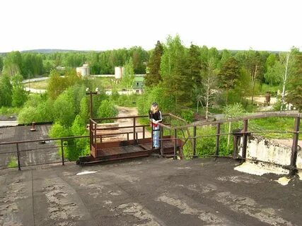 Завод сосново