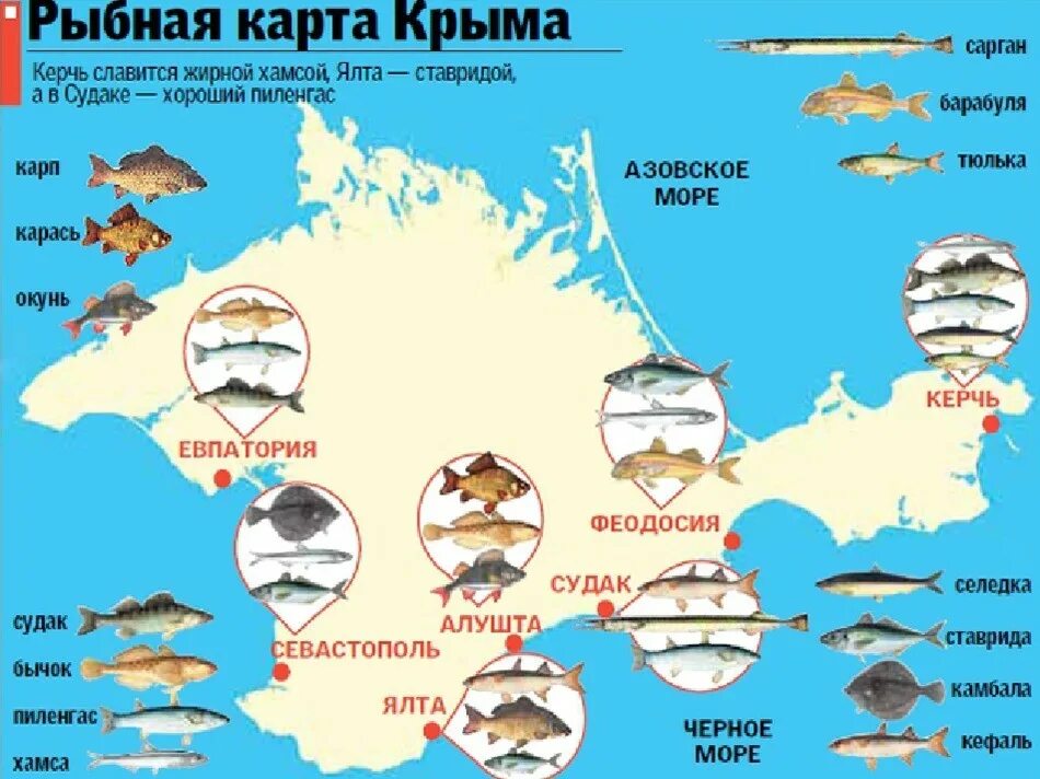 Рыбы красного моря таблица. Рыбы красного моря определитель. Ян гевелий атлас созвездий знаков зодиака. Ян гевелий рыбы. Морская рыба названия.
