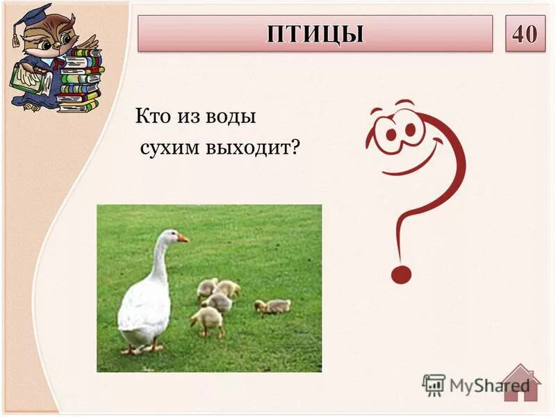 Выходит сухим выходит влажным. Выходит сухим выходит влажным