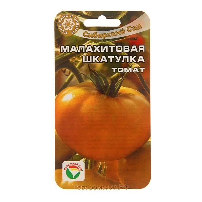 Сорт помидор малахитовая шкатулка. Малахитовая шкатулка семена томатов. Высота томата малахитовая шкатулка. Томат малахитовая шкатулка сибирский сад. Малахитовая шкатулка семена томатов.