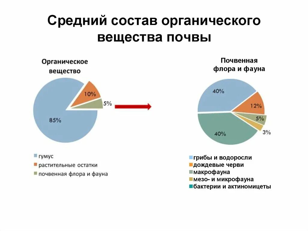 Назовите органические вещества почвы. Средний состав органического вещества почвы. Схема состава органического вещества почвы. Органическое вещество почвы. Источники органического вещества в почве.