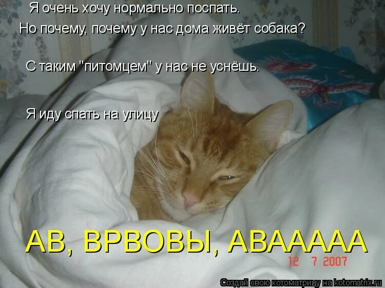 статус сплю. мне хочется спать мне хочется знать почему. хочу спать. я хорошо сплю. хочу спать.