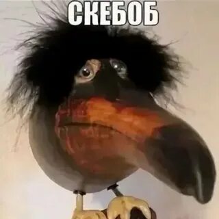 пирожок с аленкой - 1 пікір, 2 қаралым - Яндекс Карты 