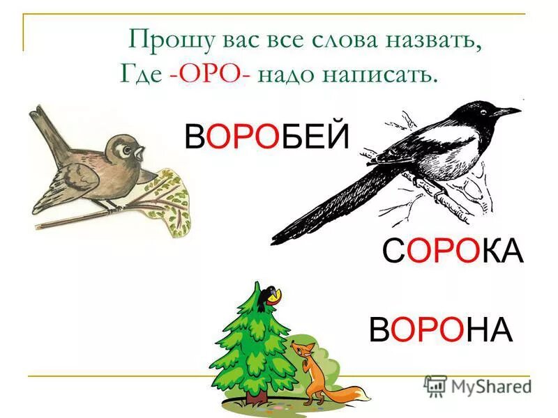 Сколько звуков в слове ворон. Ворона сорока Воробей. Сорока и Воробей. Словарные слова ворона Воробей сорока. Словарные слова ворона сорока.