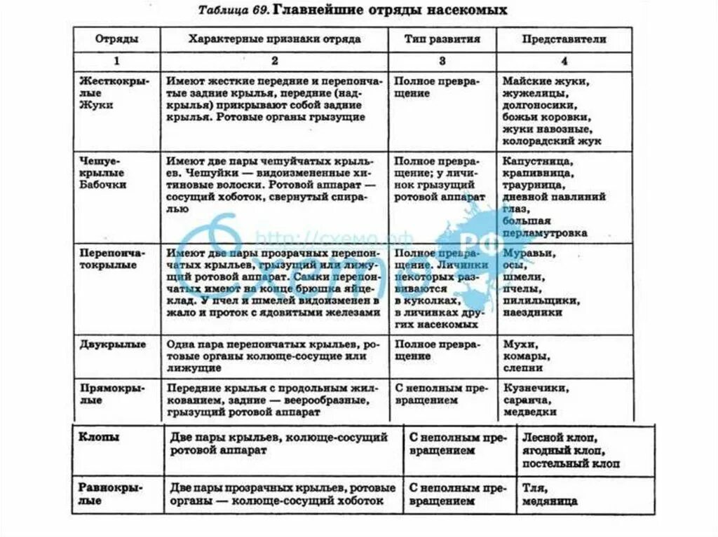 Отряд насекомых тип развития. Класс насекомые 7 класс биология таблица отряды представители. Характеристика отрядов насекомых таблица 7 класс биология. Таблица по биологии 7 класс характеристика отрядов класса насекомых. Важнейшие отряды насекомых таблица 7 класс.