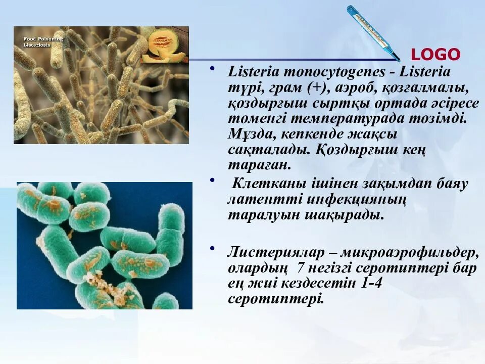 Листериоз лечение у человека. Listeria monocуtogenes (листерии). Листериоз возбудитель заболевания. Listeria monocytogenes аэроб.