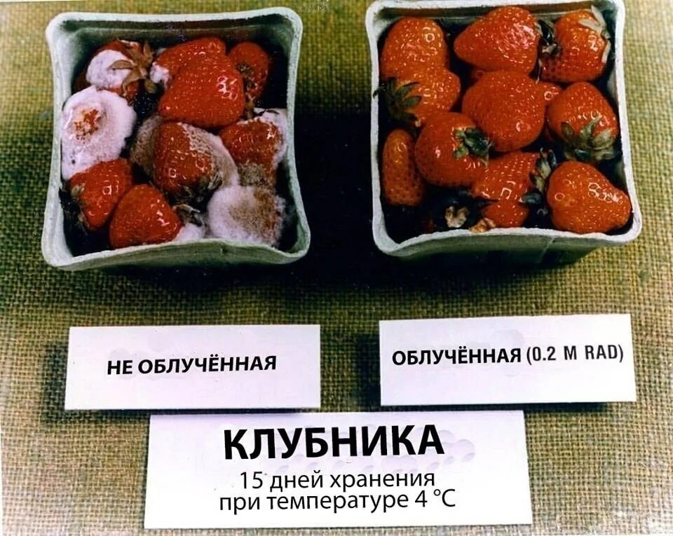 Сколько лежат на сохранении. Консервирование пищевых продуктов гамма излучением. Обработка продуктов радиацией. Радиационная стерилизация продуктов. Радиационная обработка продуктов питания.