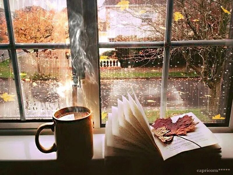 Листья на подоконнике. Окно осень. Осенний подоконник. Осень окно кофе. Кофе у окна.