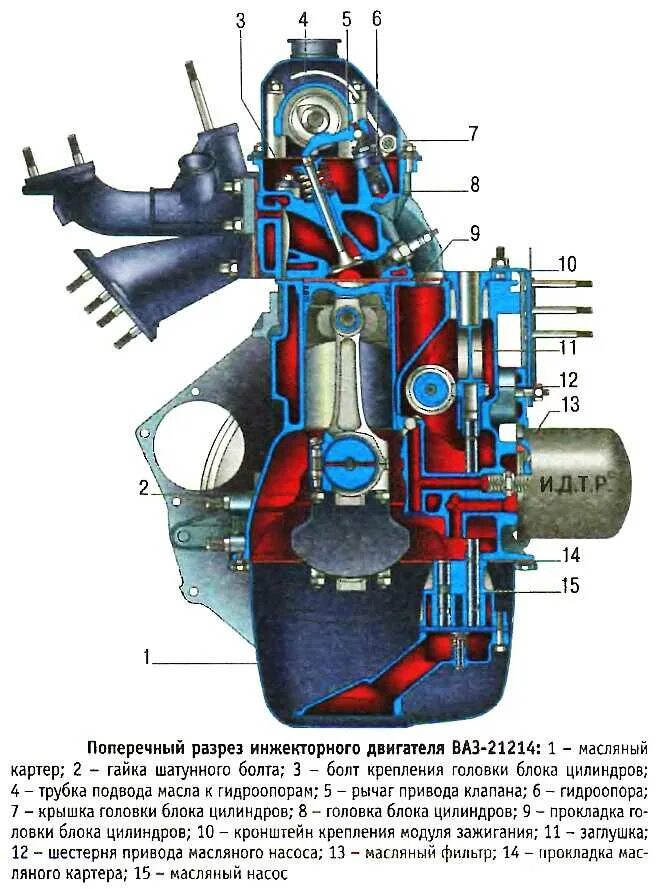 Схема ДВС ВАЗ 21214. Двигатель ВАЗ 21214 инжектор схема. Двигатель ВАЗ 21214 В разрезе. Система смазки двигателя ВАЗ 2107 инжектор.