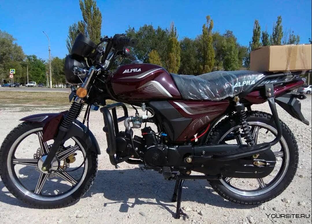 Alpha champ. Мопед alpha rs11. мопед альфа rs11. мопед альфа рс 11. мопед alpha rs11 champ.