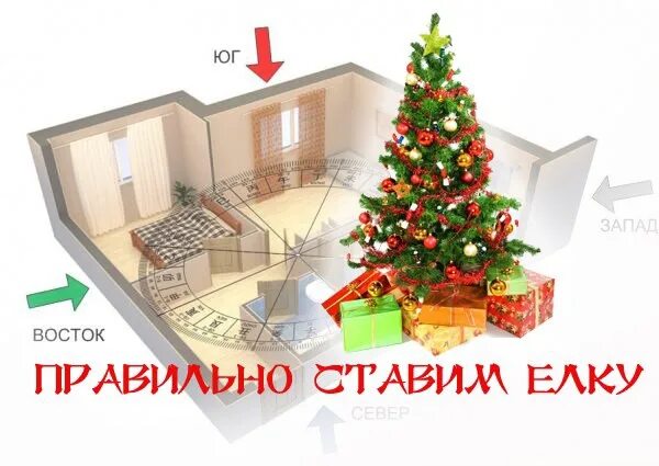 Какого числа ставить елку в 2025 году. Елка по фен шуй в квартире. куда поставить елку. куда лучше поставить елку. где ставить елку в доме.