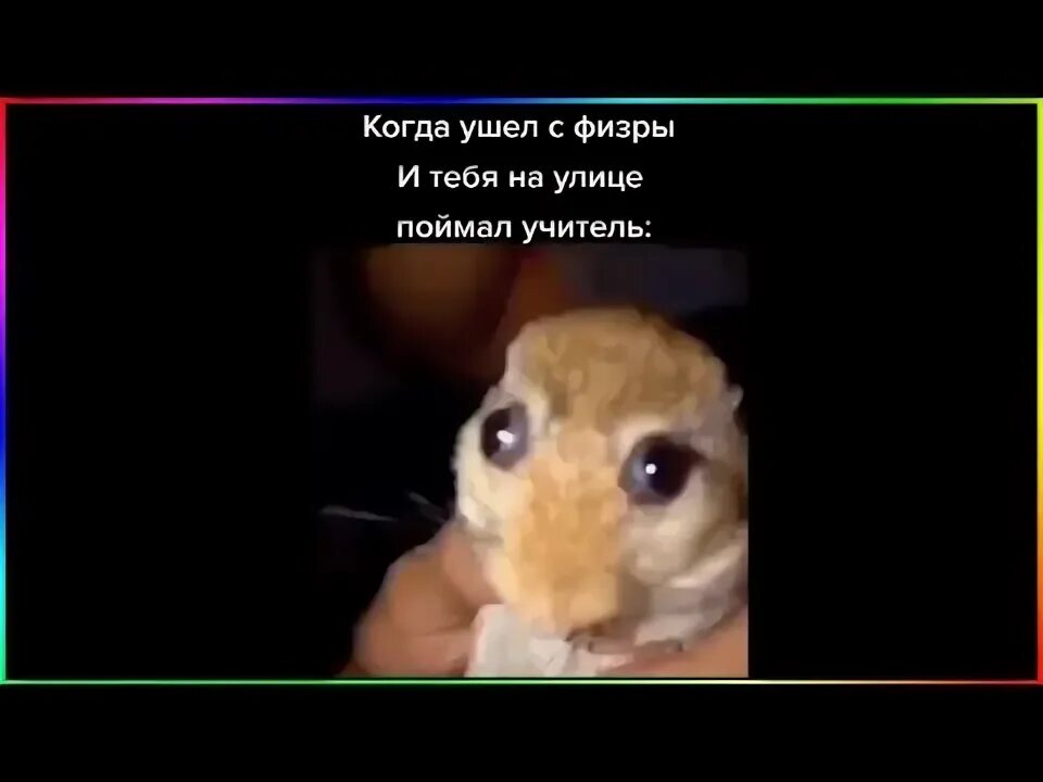 Как прогулять физру. Как прогулять физру