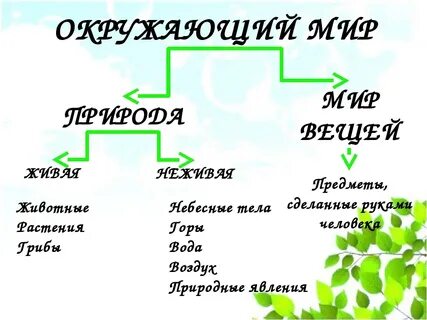 Живое неживое примеры связей 3
