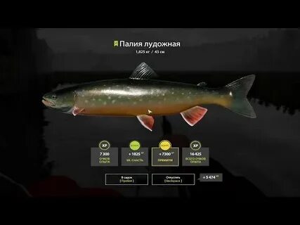 Сборки удилищ рр4