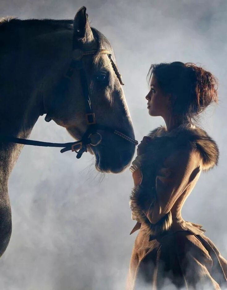 Девки и лошади. Фотосессия с лошадьми. Девочка на лошади. Девушка с лошадью.