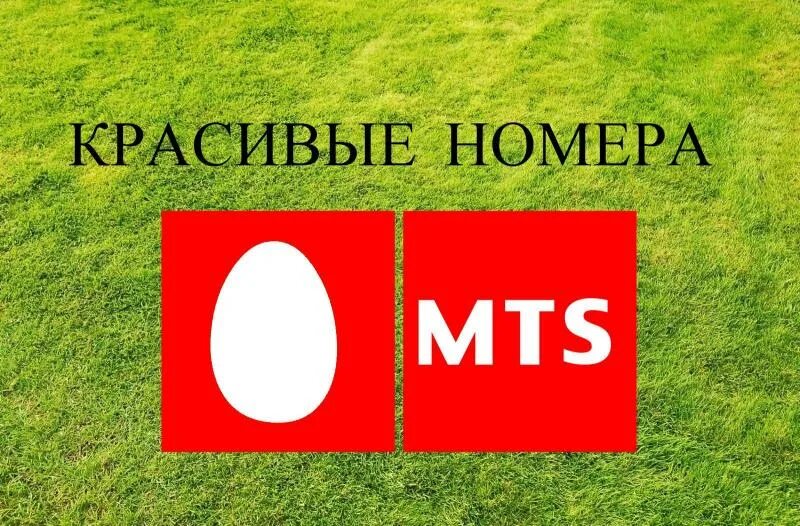 Мтс россия смартфоны. Красивые номера МТС. Золотые номера МТС. Красивые номера телефонов МТС. Платиновые номера МТС.