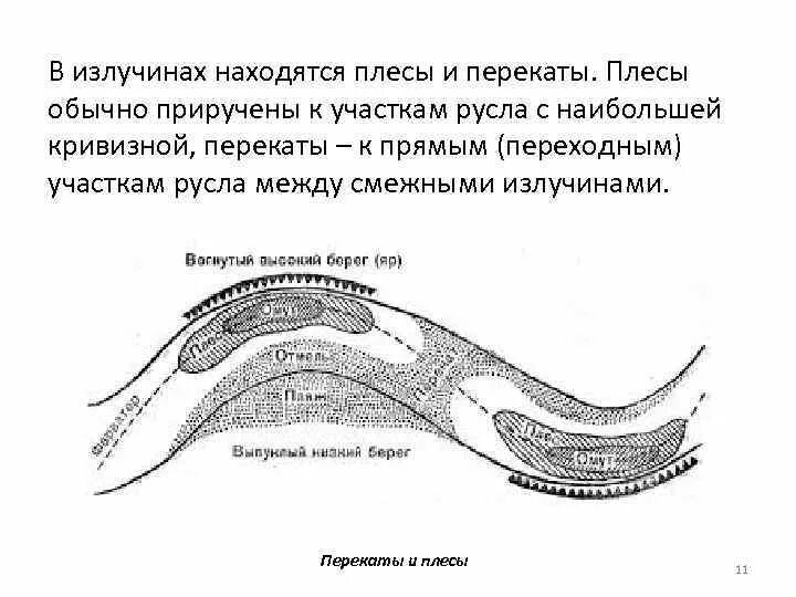 Схема реки с перекатами. Гребень переката. Перекат в русле реки. Перекат на реке. Формы русел рек.