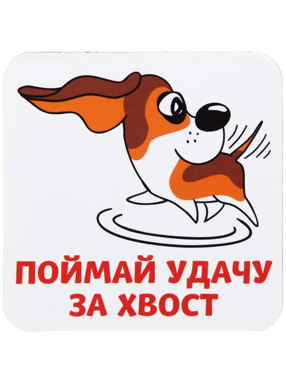 Поймай удачу за хвост. Поймать шлягер за хвост. Как поймать юмор за хвост. Держи удачу за хвост. Поймать шлягер за хвост.