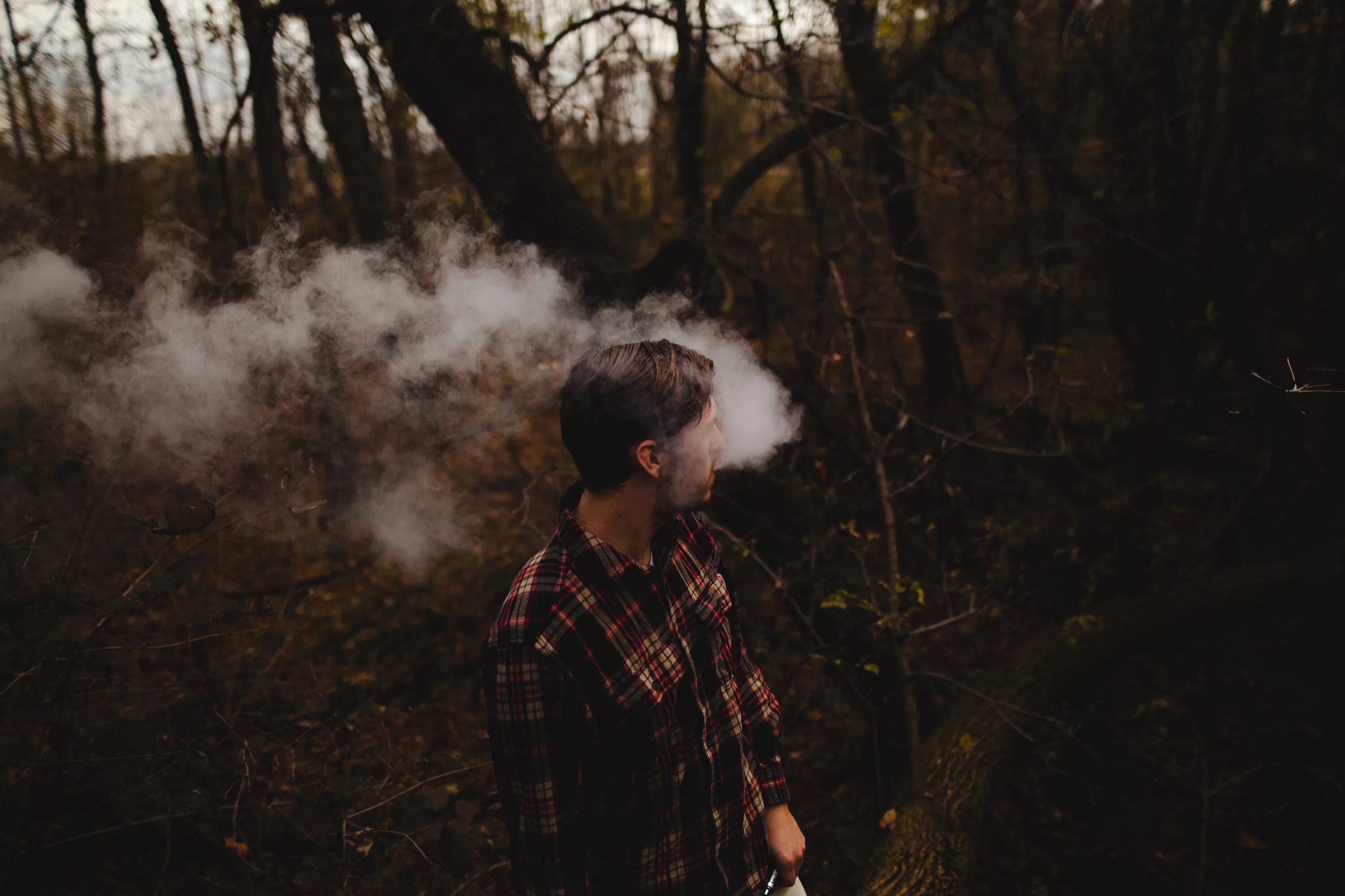 Атмосферная фотосессия. Парень курит в лесу. Парень в лесу. Парень в лесу Эстетика. Сквозь лес и дым геншин