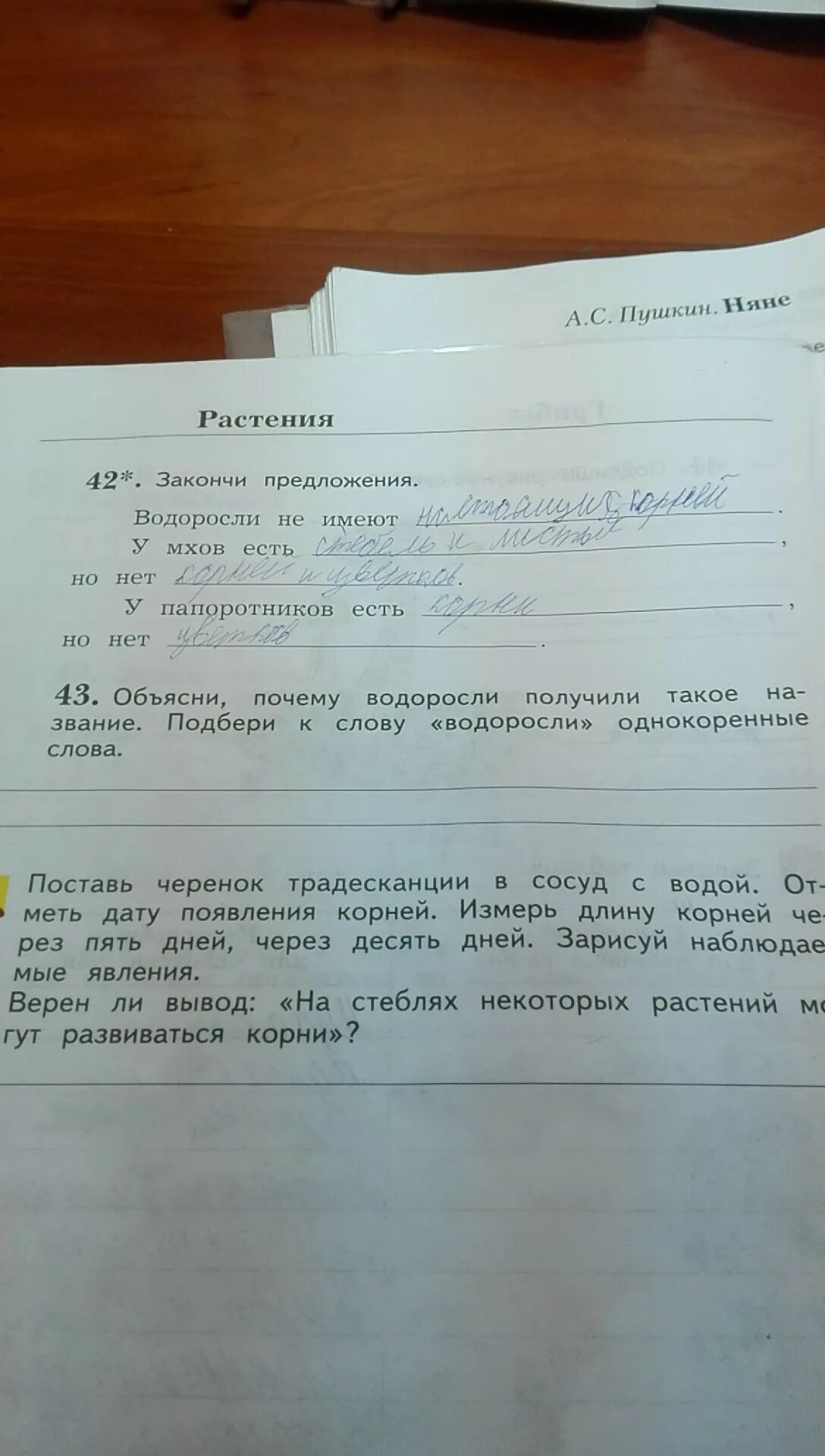 Водоросли не имеют ответ. Водоросли однокоренные слова. Подобрать к слову водоросли однокоренные слова. Водоросли однокоренные слова к слову водоросли. Почему водоросли получили такое название.