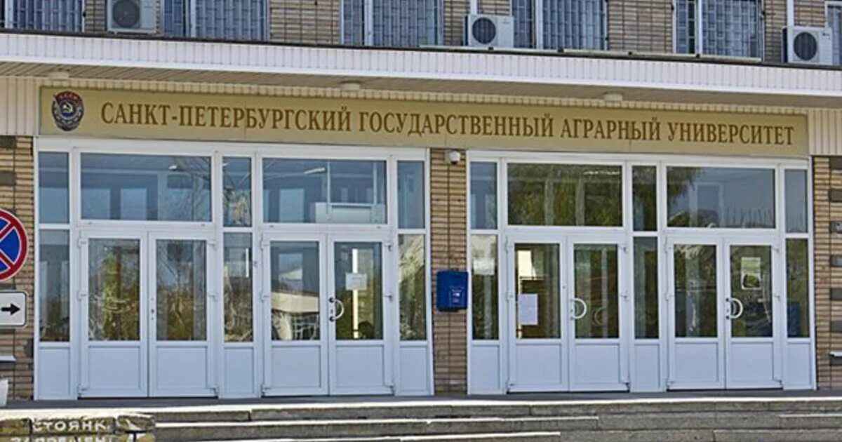 Колледж санкт петербургского государственного аграрного университета. Санкт-петербургский государственный аграрный университет, пушкин. Колледж санкт петербургского государственного аграрного университета. Город пушкин аграрный университет. Колледж санкт петербургского государственного аграрного университета.