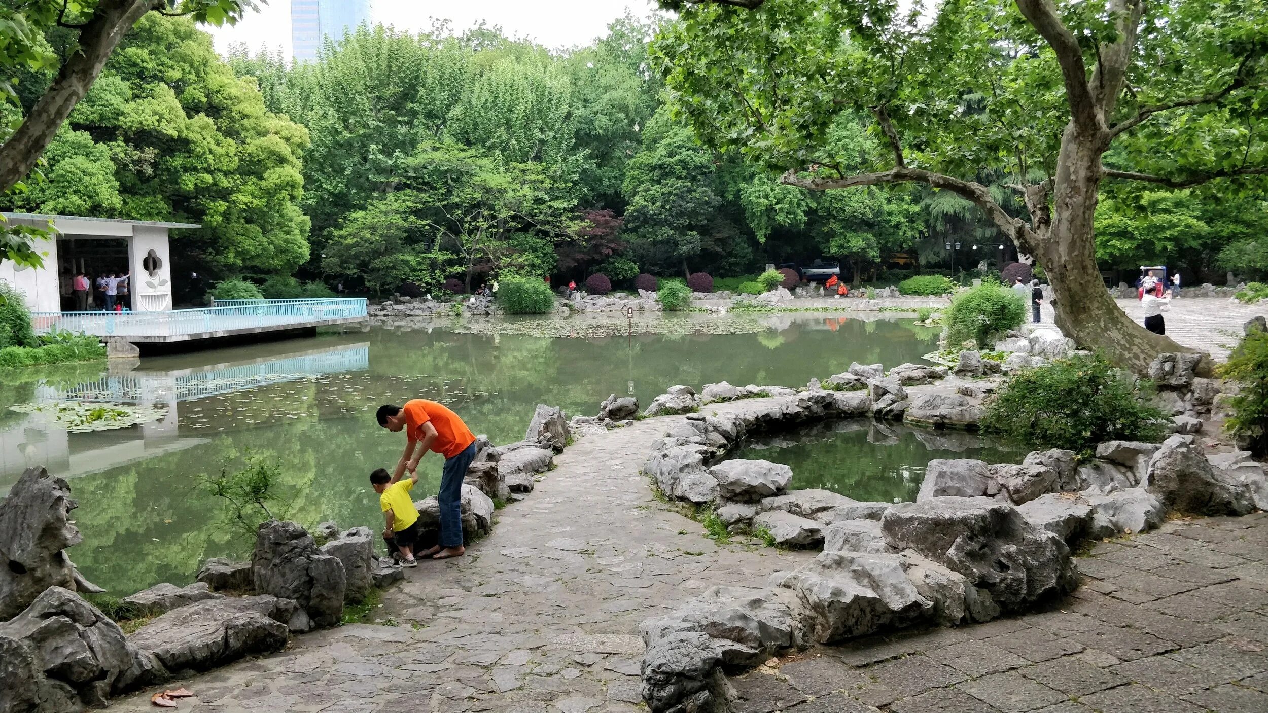 Сад юй юань в шанхае. Сад юйюань в шанхае. Lujiazui шанхай. Вековой парк шанхай. Парк хуанпу шанхай.