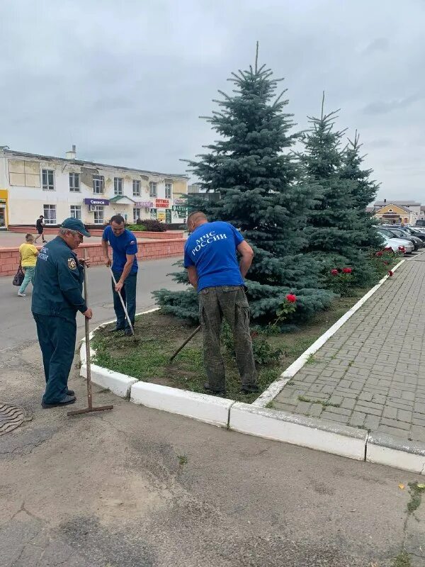 о делах благоустройства