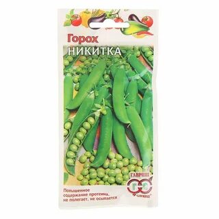 Сорт гороха никитка