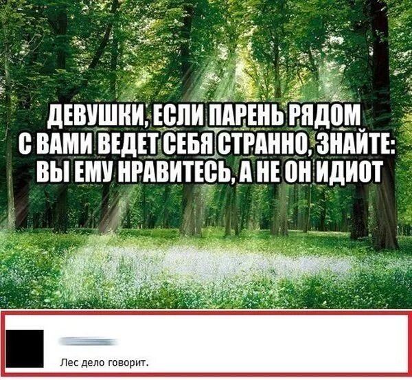 Иди лесом выражение