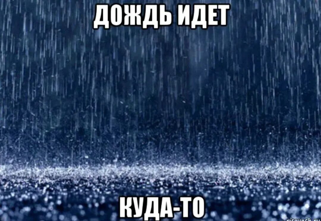 Дождик молчит. Дождь картинки. Идет дождь. Нужен дождь. И снова дождь.