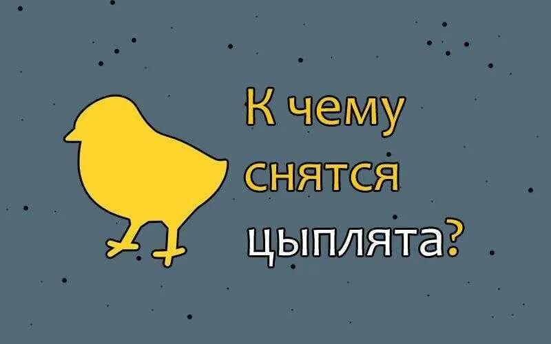 Видеть во сне цыплят. Что сниться цыплятам. Во сне увидела цыплят. Цыплята приснились к чему это.