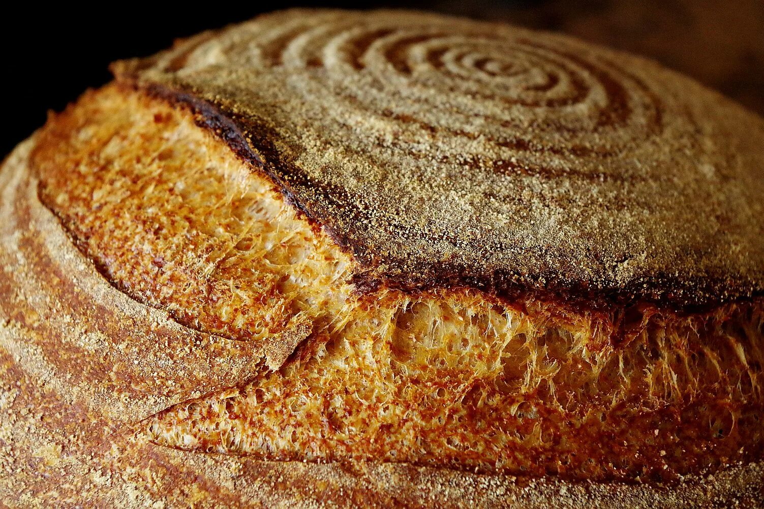 Золотистые хлеба. Надрезы на круглом хлебе. Круглый хлеб. Разрезы на круглом хлебе. Хлеб в разрезе.