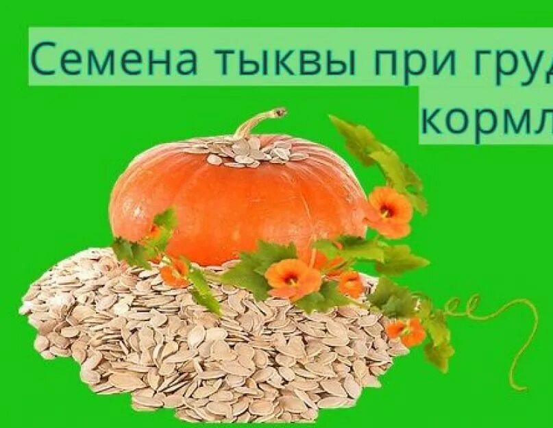 Семена тыквы при гв. Тыква при грудном вскармливании. Тыквенные семечки при грудном вскармливании. Тыквенная семечка при гв. Можно кормящим тыкву