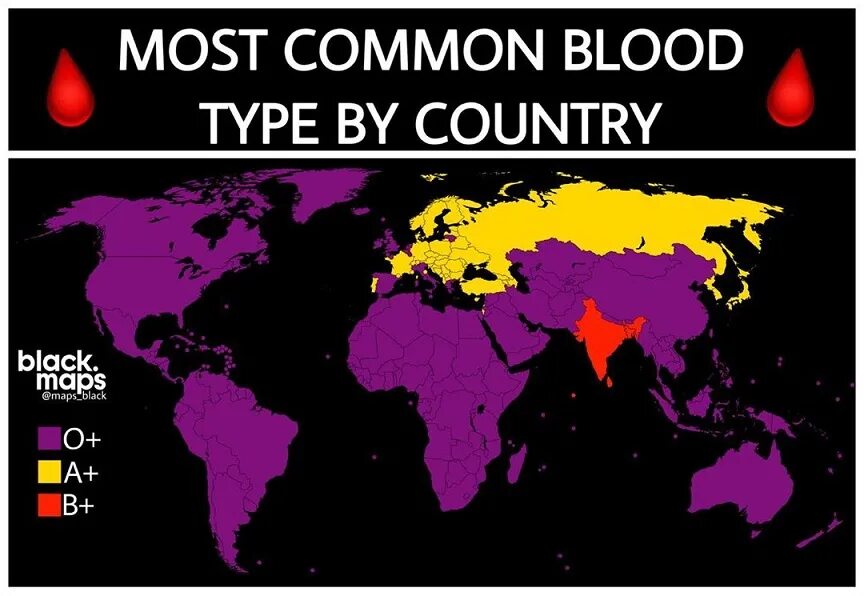 A+ Blood Type. Bloody Type "ab+" Map. My Blood Type is Diesel. My Blood Type is IPA.