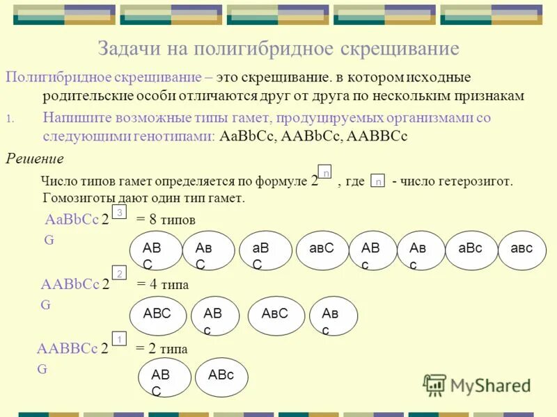 Скрещивание особей отличающихся друг от друга