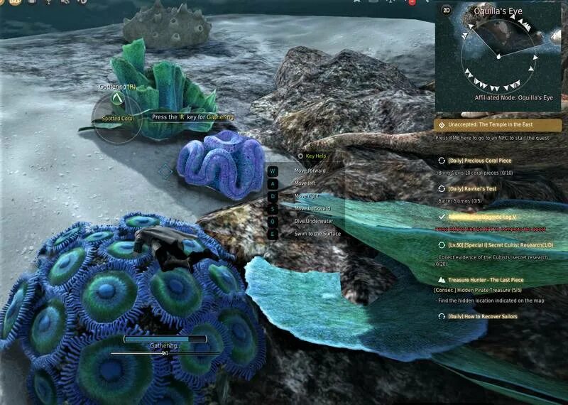 Пятнистый коралл бдо. Бдо трубчатый коралл. Коралл бдо. Коралл бдо. Бдо карта жемчужных моллюсков.