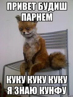 Будиш