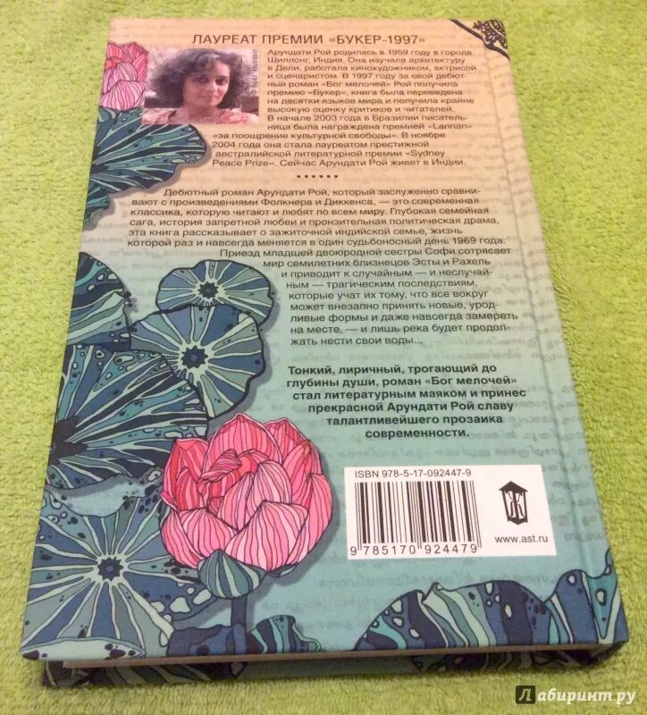 Рой бог мелочей. Бог мелочей отзывы. Арундати бог мелочей. Бог мелочей арундати рой аст. Бог мелочей отзывы.