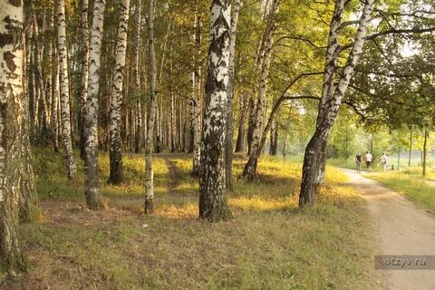 Тимирязевская область