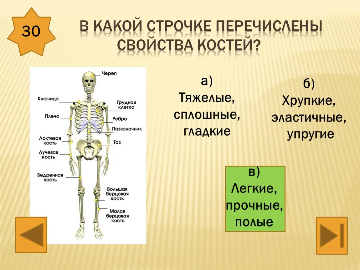 Свойства костей. Свойства костей человека. В какой строке перечислены свойства костей. Физические свойства кости. Химические свойства костей человека