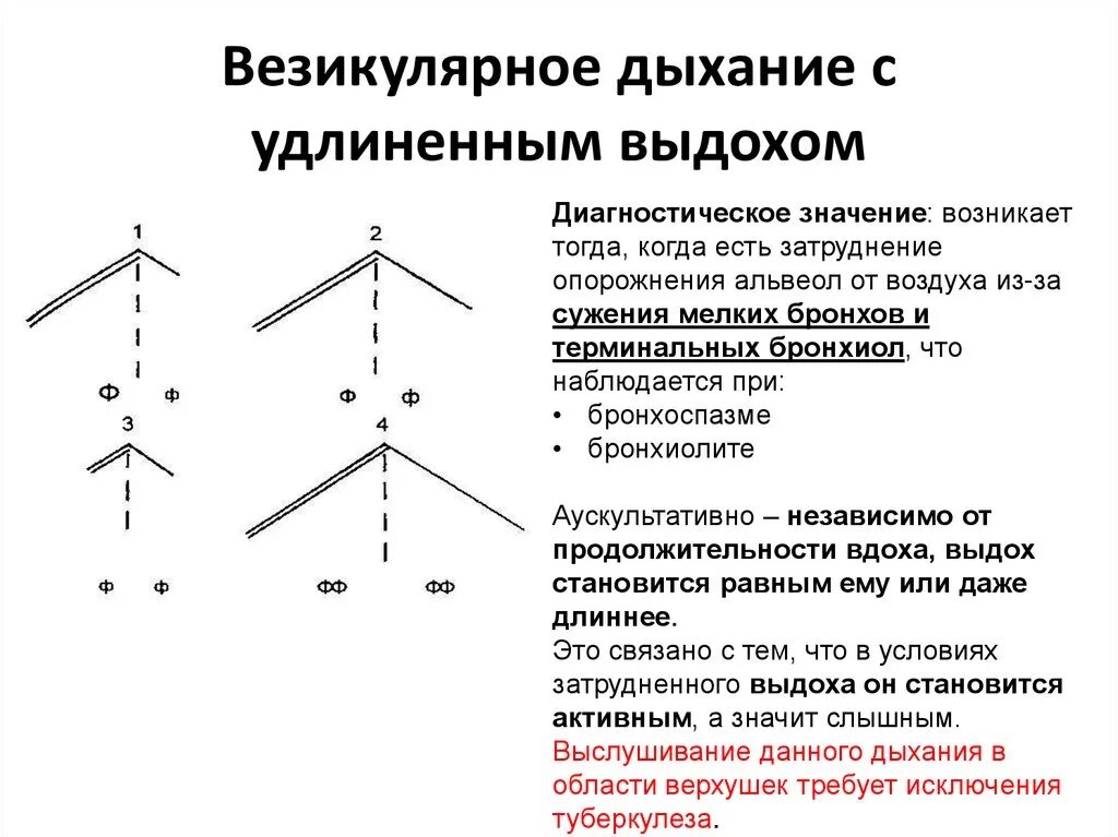 Дыхание с удлиненным выдохом