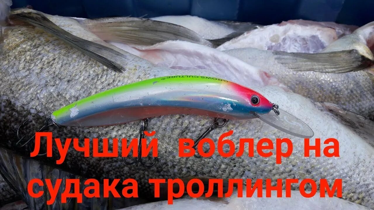 Судак на троллинг спиннинг. Воблеры на судака для троллинга. финские воблеры для троллинга судака. лучшие воблеры для троллинга судака на волге. воблеры на судака для троллинга на ладоге.