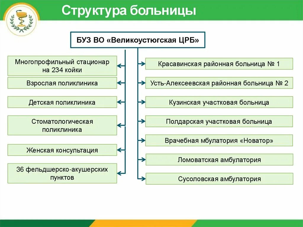 Подразделение стационара. Структура больницы схема. Структура стационара. Организационная структура больницы. Строение стационара.