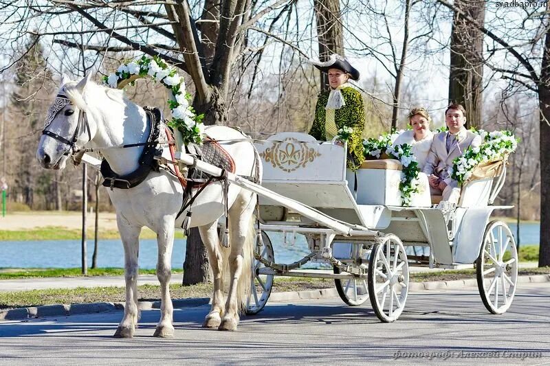 Адреса коне. Свадебная карета. Свадебная повозка с лошадьми. Свадебная карета с лошадьми. Свадебные конные экипажи.