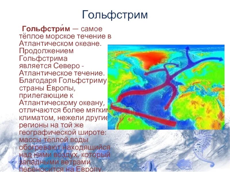 Морское течение гольфстрим. Гольфстрим и Северо-атлантическое течение. Атлантика течение Гольфстрим. Течение Гольфстрим в Баренцевом море. Гольфстрим течение схема в Европе.